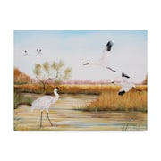 TRADEMARK FINE ART Jean Plout 'Whooping Cranes' Canvas Art, 18x24 ALI29959-C1824GG